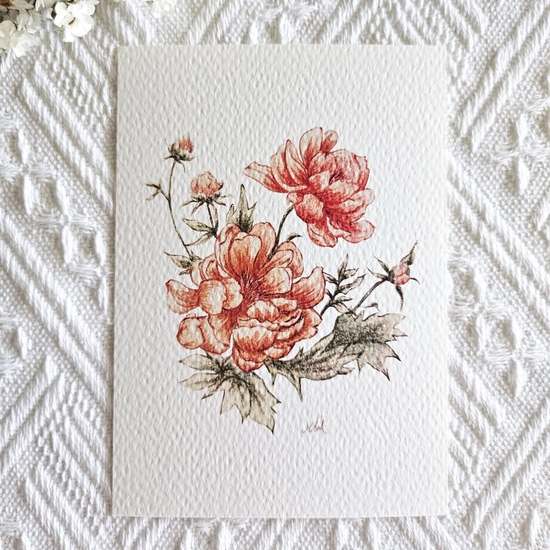 竹工凡花 • 復古的春花圖鑑系列 卡片 明信片