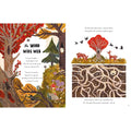 5 Minute Nature Stories : True tales from the woodland - Wah Books