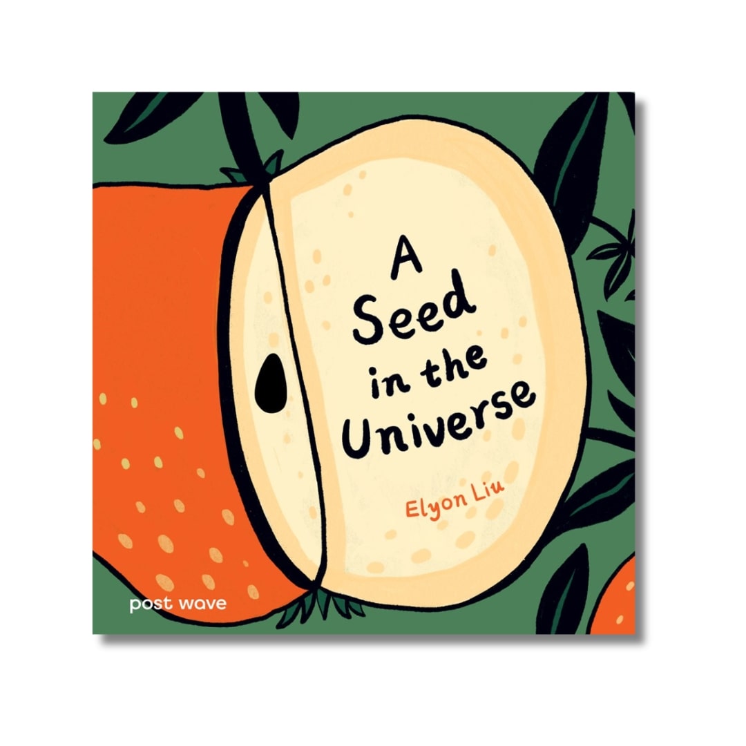 A Seed in the Universe