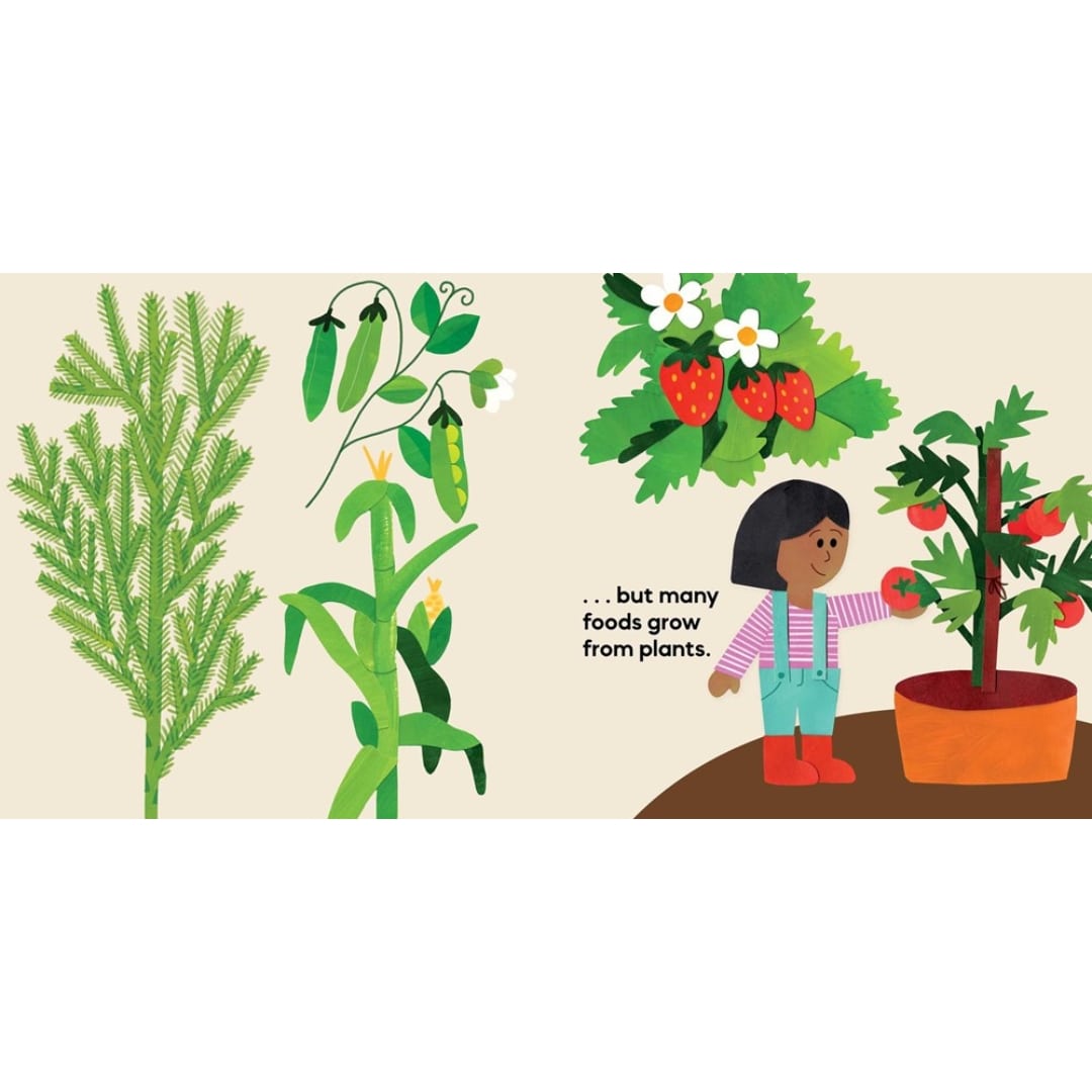 Our Food Grows