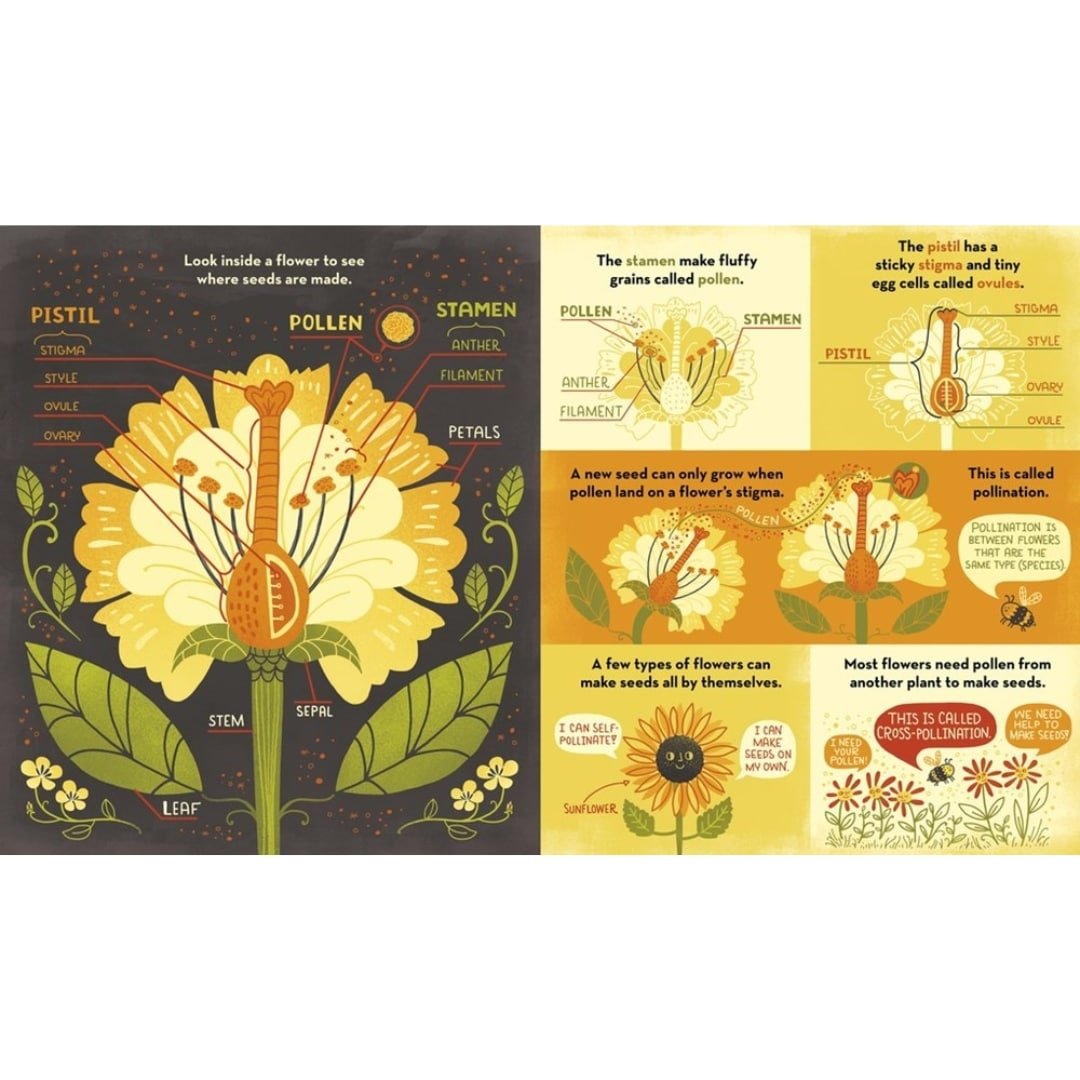 What's Inside a Flower? : And other questions about science and nature - Wah Books